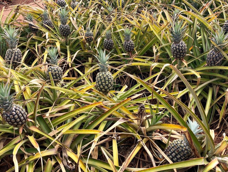 8FBCEF45-00DC-4665-B678-78310F0DA691