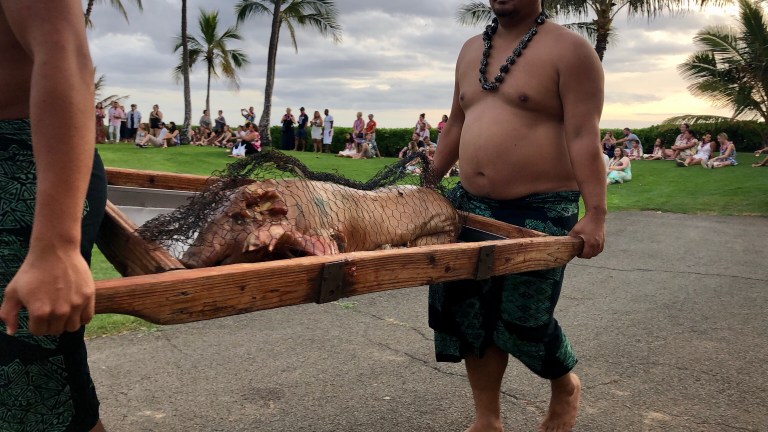 CE7C4C84-1957-44CA-AB81-CDB45AFC8324